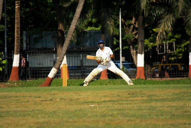 India beats West Indies by 14 runs in 3rd T20