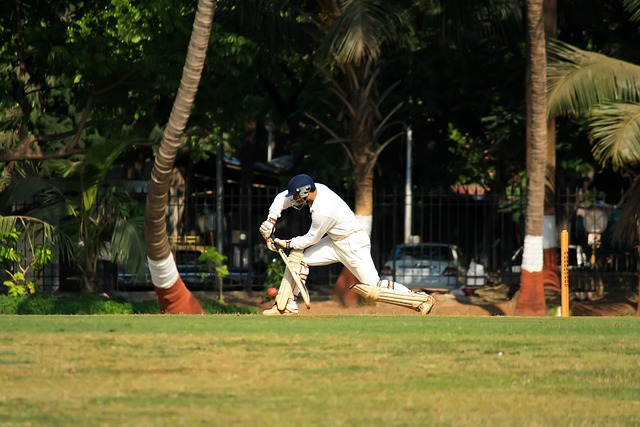 Shahnawaz's explosive innings takes Machrehta to final