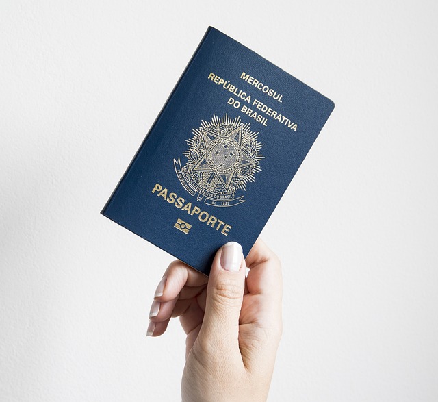 Microsoft, Adobe suspended from US green card programme