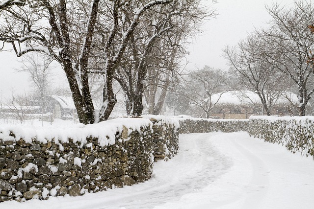 Snowfall in Uttarakhand-Himachal, Record October Rain in Jammu