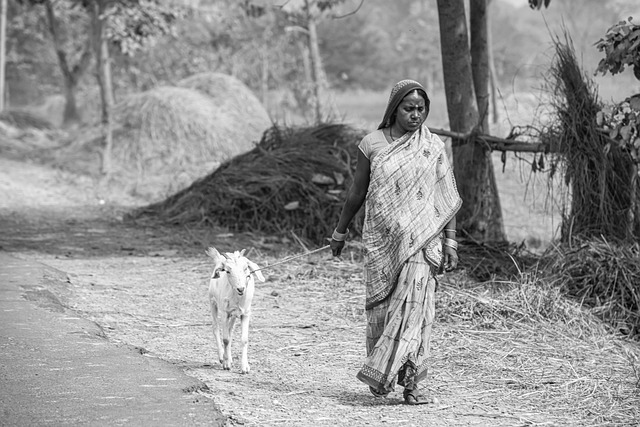 कानपुर के गांवों में नाला चोक, गंदा पानी घरों में घुसा